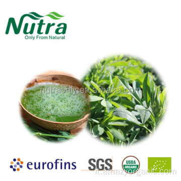 Succo di erba medica verde naturale puro in polvere Pure